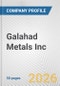 Galahad Metals Inc. Fundamental Company Report Including Financial, SWOT, Competitors and Industry Analysis - Product Thumbnail Image