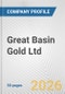 Great Basin Gold Ltd. Fundamental Company Report Including Financial, SWOT, Competitors and Industry Analysis - Product Thumbnail Image