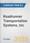 Roadrunner Transportation Systems, Inc. Fundamental Company Report Including Financial, SWOT, Competitors and Industry Analysis - Product Thumbnail Image