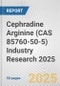 Cephradine Arginine (CAS 85760-50-5) Industry Research 2025: Global and Regional Market Trends 2019-2024 and Forecast to 2029 - Product Image