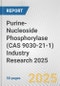 Purine-Nucleoside Phosphorylase (CAS 9030-21-1) Industry Research 2025: Global and Regional Market Trends 2019-2024 and Forecast to 2029 - Product Image