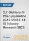2,7-Dichloro-3-Phenylquinoline (CAS 59412-14-5) Industry Research 2025: Global and Regional Market Trends 2019-2024 and Forecast to 2029 - Product Thumbnail Image