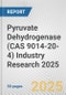 Pyruvate Dehydrogenase (CAS 9014-20-4) Industry Research 2025: Global and Regional Market Trends 2019-2024 and Forecast to 2029 - Product Thumbnail Image