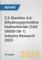 2,5-Diamino-4,6-Dihydroxypyrimidine Hydrochloride (CAS 56830-58-1) Industry Research 2025: Global and Regional Market Trends 2019-2024 and Forecast to 2029 - Product Thumbnail Image