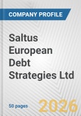 Saltus European Debt Strategies Ltd Fundamental Company Report Including Financial, SWOT, Competitors and Industry Analysis- Product Image