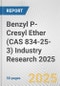Benzyl P-Cresyl Ether (CAS 834-25-3) Industry Research 2025: Global and Regional Market Trends 2019-2024 and Forecast to 2029 - Product Thumbnail Image