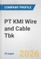 PT KMI Wire and Cable Tbk Fundamental Company Report Including Financial, SWOT, Competitors and Industry Analysis - Product Thumbnail Image