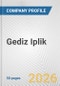 Gediz Iplik Fundamental Company Report Including Financial, SWOT, Competitors and Industry Analysis - Product Thumbnail Image