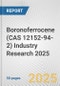 Boronoferrocene (CAS 12152-94-2) Industry Research 2025: Global and Regional Market Trends 2019-2024 and Forecast to 2029 - Product Thumbnail Image