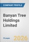 Banyan Tree Holdings Limited Fundamental Company Report Including Financial, SWOT, Competitors and Industry Analysis - Product Thumbnail Image