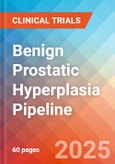 Benign Prostatic Hyperplasia - Pipeline Insight, 2024- Product Image