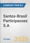 Santos-Brasil Participacoes S.A. Fundamental Company Report Including Financial, SWOT, Competitors and Industry Analysis - Product Thumbnail Image