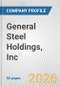 General Steel Holdings, Inc. Fundamental Company Report Including Financial, SWOT, Competitors and Industry Analysis - Product Thumbnail Image