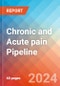 Chronic and Acute pain - Pipeline Insight, 2024 - Product Thumbnail Image