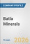 Batla Minerals Fundamental Company Report Including Financial, SWOT, Competitors and Industry Analysis - Product Thumbnail Image