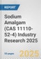 Sodium Amalgam (CAS 11110-52-4) Industry Research 2025: Global and Regional Market Trends 2019-2024 and Forecast to 2029 - Product Image
