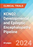 KCNQ2 Developmental and Epileptic Encephalopathy (KCNQ2-DEE) - Pipeline Insight, 2024- Product Image