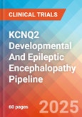 KCNQ2 Developmental and Epileptic Encephalopathy (KCNQ2-DEE) - Pipeline Insight, 2024- Product Image