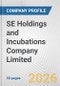 SE Holdings and Incubations Company Limited Fundamental Company Report Including Financial, SWOT, Competitors and Industry Analysis - Product Thumbnail Image