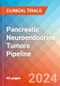 Pancreatic Neuroendocrine Tumors - Pipeline Insight, 2024 - Product Thumbnail Image