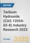 Terbium Hydroxide (CAS 12054-65-8) Industry Research 2025: Global and Regional Market Trends 2019-2024 and Forecast to 2029 - Product Image