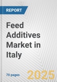 Feed Additives Market in Italy: Business Report 2024- Product Image