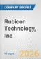 Rubicon Technology, Inc. Fundamental Company Report Including Financial, SWOT, Competitors and Industry Analysis - Product Thumbnail Image