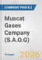 Muscat Gases Company (S.A.O.G) Fundamental Company Report Including Financial, SWOT, Competitors and Industry Analysis - Product Thumbnail Image