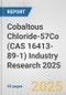 Cobaltous Chloride-57Co (CAS 16413-89-1) Industry Research 2025: Global and Regional Market Trends 2019-2024 and Forecast to 2029 - Product Thumbnail Image