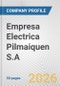 Empresa Electrica Pilmaiquen S.A. Fundamental Company Report Including Financial, SWOT, Competitors and Industry Analysis - Product Thumbnail Image