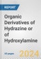 Organic Derivatives of Hydrazine or of Hydroxylamine: European Union Market Outlook 2023-2027 - Product Thumbnail Image
