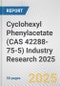 Cyclohexyl Phenylacetate (CAS 42288-75-5) Industry Research 2025: Global and Regional Market Trends 2019-2024 and Forecast to 2029 - Product Thumbnail Image