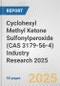 Cyclohexyl Methyl Ketone Sulfonylperoxide (CAS 3179-56-4) Industry Research 2025: Global and Regional Market Trends 2019-2024 and Forecast to 2029 - Product Thumbnail Image