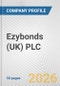 Ezybonds (UK) PLC Fundamental Company Report Including Financial, SWOT, Competitors and Industry Analysis - Product Thumbnail Image