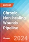 Chronic Non-healing Wounds - Pipeline Insight, 2024 - Product Image