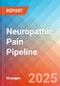 Neuropathic Pain - Pipeline Insight, 2024 - Product Image