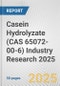 Casein Hydrolyzate (CAS 65072-00-6) Industry Research 2025: Global and Regional Market Trends 2019-2024 and Forecast to 2029 - Product Thumbnail Image