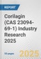 Corilagin (CAS 23094-69-1) Industry Research 2025: Global and Regional Market Trends 2019-2024 and Forecast to 2029 - Product Thumbnail Image