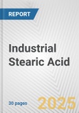 Industrial Stearic Acid: European Union Market Outlook 2023-2027- Product Image