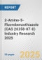 2-Amino-5-Fluorobenzothiazole (CAS 20358-07-0) Industry Research 2025: Global and Regional Market Trends 2019-2024 and Forecast to 2029 - Product Image