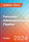 Pancreatic Adenocarcinoma - Pipeline Insight, 2024 - Product Thumbnail Image