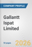 Gallantt Ispat Limited Fundamental Company Report Including Financial, SWOT, Competitors and Industry Analysis- Product Image
