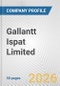 Gallantt Ispat Limited Fundamental Company Report Including Financial, SWOT, Competitors and Industry Analysis - Product Thumbnail Image