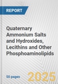 Quaternary Ammonium Salts and Hydroxides, Lecithins and Other Phosphoaminolipids: European Union Market Outlook 2023-2027- Product Image