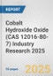 Cobalt Hydroxide Oxide (CAS 12016-80-7) Industry Research 2025: Global and Regional Market Trends 2019-2024 and Forecast to 2029 - Product Image