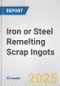 Iron or Steel Remelting Scrap Ingots: European Union Market Outlook 2023-2027 - Product Image