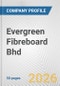 Evergreen Fibreboard Bhd Fundamental Company Report Including Financial, SWOT, Competitors and Industry Analysis - Product Thumbnail Image