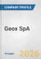 Geox SpA Fundamental Company Report Including Financial, SWOT, Competitors and Industry Analysis - Product Thumbnail Image