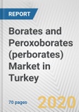 Borates and Peroxoborates (perborates) Market in Turkey: Business Report 2020- Product Image