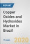 Copper Oxides and Hydroxides Market in Brazil: Business Report 2020 - Product Thumbnail Image